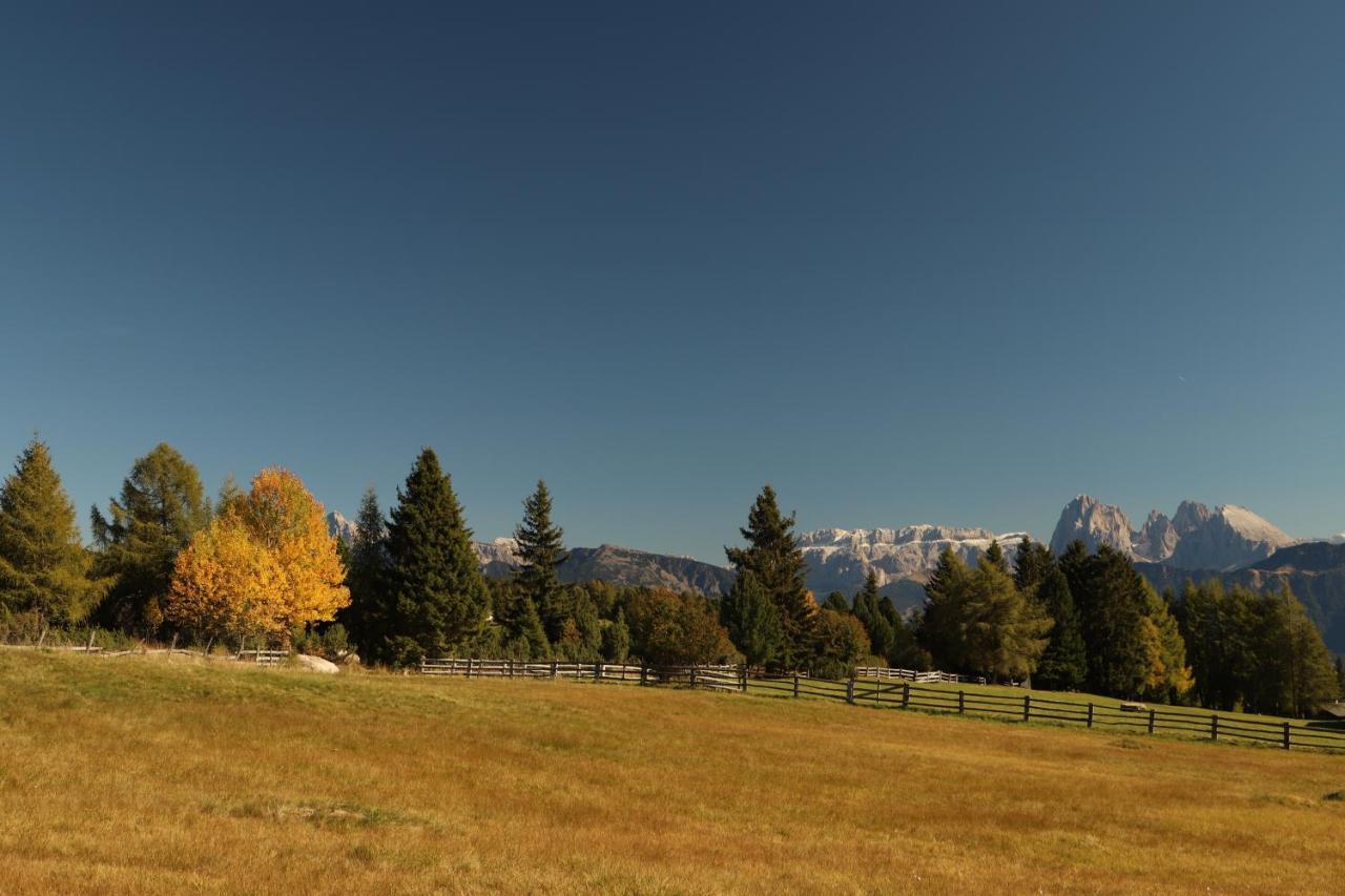 Residence Alpenrose Бресаноне Екстериор снимка